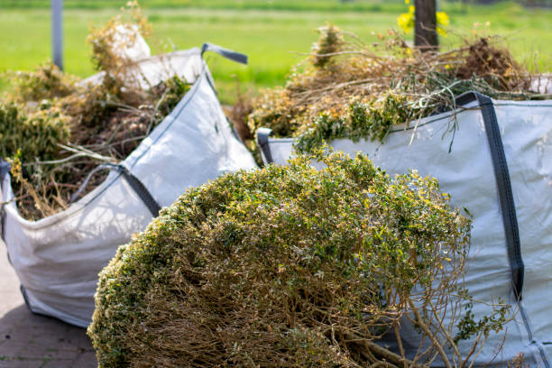 Best Mattress Removal Service  in Schler Park, IL